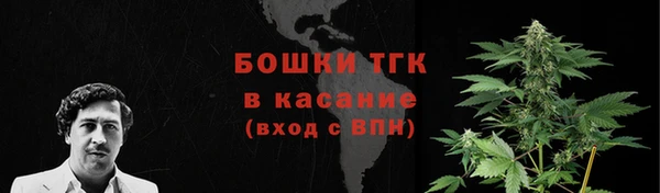 ПСИЛОЦИБИНОВЫЕ ГРИБЫ Абдулино