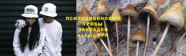 марки nbome Абаза