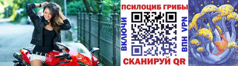 Галлюциногенные грибы Magic Shrooms  цены   Великий Новгород 